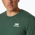 Pánské tričko Helly Hansen Nord Graphic jungle green 3