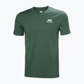 Pánské tričko Helly Hansen Nord Graphic jungle green 4