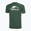 Pánské tričko Helly Hansen Nord Graphic jungle green 5