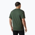 Pánské tričko Helly Hansen Box T 2.0 jungle green 2