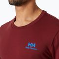 Pánské tričko Helly Hansen Nord Graphic mars red 3
