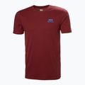 Pánské tričko Helly Hansen Nord Graphic mars red 4