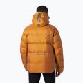 Pánská zateplená bunda Helly Hansen Active Winter mustard 2