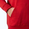 Pánská mikina Helly Hansen HH Logo Hoodie red 4