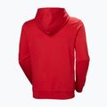 Pánská mikina Helly Hansen HH Logo Hoodie red 6