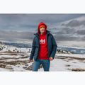 Pánská mikina Helly Hansen HH Logo Hoodie red 7