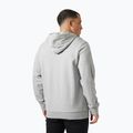 Pánská mikina Helly Hansen HH Logo Hoodie grey/melange 2
