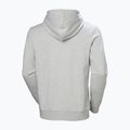Pánská mikina Helly Hansen HH Logo Hoodie grey/melange 6
