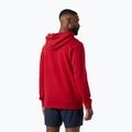 Pánská mikina Helly Hansen Core Graphic Hoodie red 2