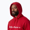 Pánská mikina Helly Hansen Core Graphic Hoodie red 3