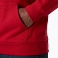 Pánská mikina Helly Hansen Core Graphic Hoodie red 4