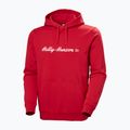 Pánská mikina Helly Hansen Core Graphic Hoodie red 5