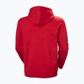 Pánská mikina Helly Hansen Core Graphic Hoodie red 6