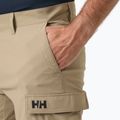 Pánské jachtařské šortky Helly Hansen QD Cargo 11" pebble 3