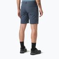 Pánské trekingové šortky Helly Hansen Holmen 5 Pocket alpine frost 2