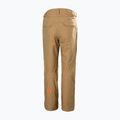 Pánské lyžařské kalhoty Helly Hansen Sogn Cargo elmwood 7