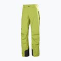 Pánské lyžařské kalhoty Helly Hansen Legendary Insulated pulse green