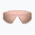 Pánské sluneční brýle Carrera 4017/S crystal beige/rose gold multilayer 4