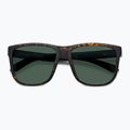 Pánské sluneční brýle Polaroid PLD 2155/S matte brown havana/green polarized 4