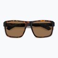 Pánské sluneční brýle Polaroid PLD 2158/S matte brown havana/bronze polarized 4