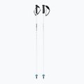Lyžařské hole HEAD Worldcup Rebels Carbon white