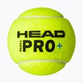 Míčky na padel  HEAD Padel Pro+ 3 ks yellow 3