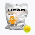 HEAD Tip Orange 72 dětské tenisové míče oranžové a zelené 578270