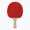 Pálka na stolní tenis STIGA Blaze 1-Star