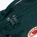 Ledvinka Fjällräven Kanken zelená F23796 4