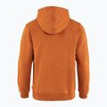 Pánská trekingová mikina Fjällräven Logo Hoodie brown F84144 2