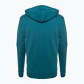 Pánská trekingová mikina Fjällräven Logo Hoodie deep sea 2