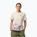 Ledvinka Fjällräven Kanken pastel lavender 4