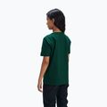 Dětské tričko  POC Tee zink pargasite green 2