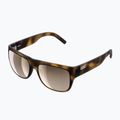 Sluneční brýle  POC Want tortoise brown/clarity trail/partly sunny silver