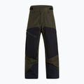Pánské lyžařské kalhoty Peak Performance Gravity 2L GoreTex zelená G78253030