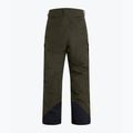 Pánské lyžařské kalhoty Peak Performance Gravity 2L GoreTex zelená G78253030 2