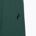 Pánská bunda Peak Performance Helium Down Hybrid Hood Jacket Green G77855130 4