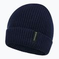 Dětská zimní čepice Didriksons Buz Beanie navy