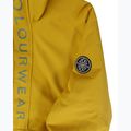 Pánská snowboardová bunda Colourwear Signature Anorak yellow 3
