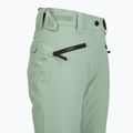 Dámské snowboardové kalhoty Colourwear Cork lt sage 4