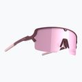 Sluneční brýle Tripoint 008 Lake Prespa matt burgundy/brown/pink multi