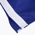 Pánské boxerské šortky  Cleto Reyes Satin Boxing blue/white 4