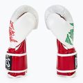 Boxerské rukavice  Cleto Reyes Velcro Sparring red/white green red 4