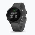 Sportovní hodinky Garmin Forerunner 245 šedé 010-02120-10