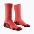 Pánské ponožky X-Socks Trailrun Discover Crew fluo red/namib red