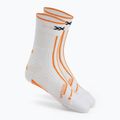 Běžecká obuv Boty X-Bionic Terraskin X00/C x white/x black 8