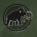 Pánská trekingová mikina Mammut ML Hoody Circle zelená 6