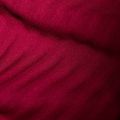 Mammut dámská trekingová bunda Taiss Light ML blood red/marine 10