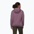 Dámská mikina Mammut ML Hoody Original flux 2