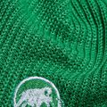 Zimní čepice Mammut Sublime pine green 2